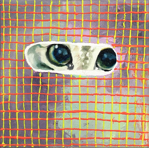 Cat in the Grid