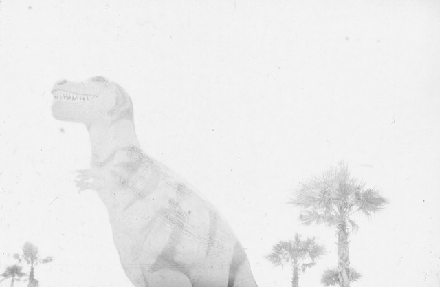 Louis Jacinto, Fine Art Photography, 04