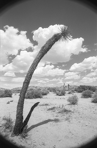 Louis Jacinto, Fine Art Photography, Los Angeles, Alan Marx