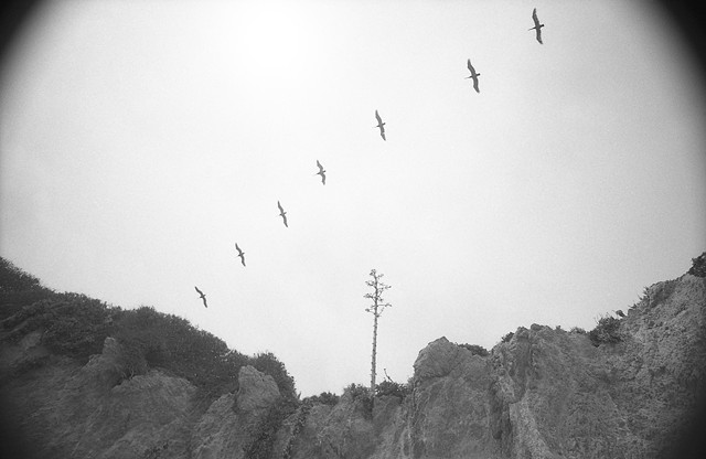 Louis Jacinto, Fine Art Photography, Los Angeles, Alan Marx