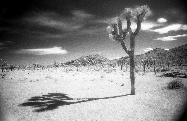 Louis Jacinto, Fine Art Photography, Los Angeles, Alan Marx