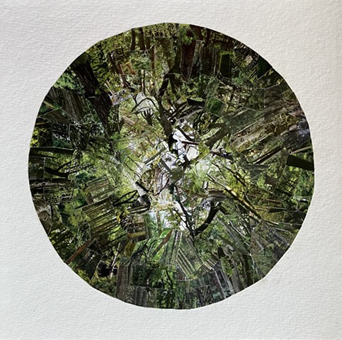 Suicide Forest, Japan