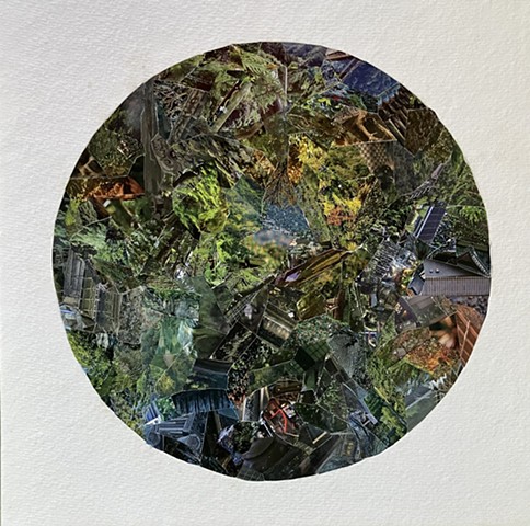 Fujikawaguchiko, Japan I