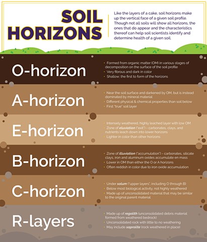 Soil Horizons