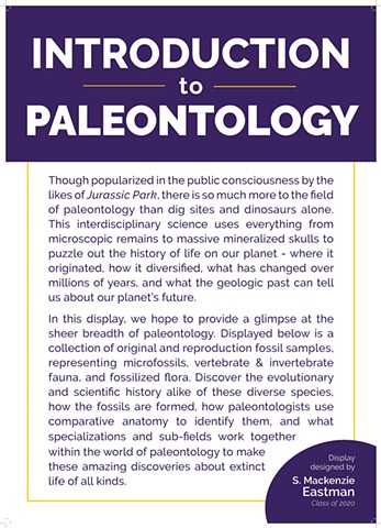 Introduction to Paleontology