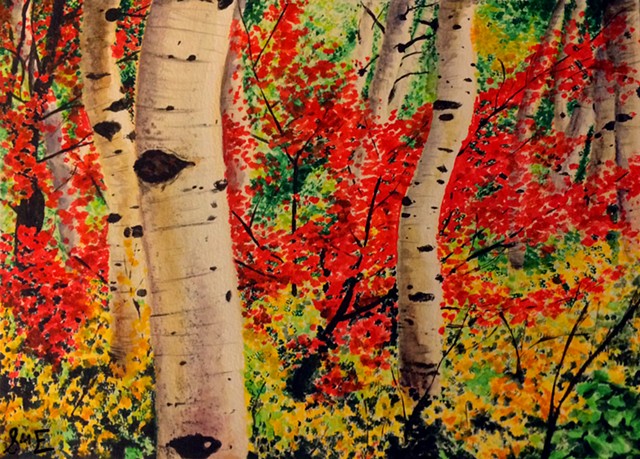 Birch Forest