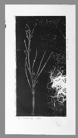 etching, black and white art work, drawings, original art work, cheap original  art work, abstract art, Galilee art work, nature art, landscape are, landscape etching 
