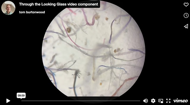 Through the Looking Glass video component