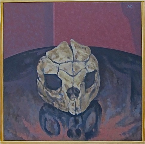 Tortoise Skull