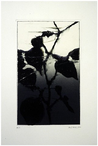 Paul (P.J.) Woods, 2001, Monotype on cotton paper