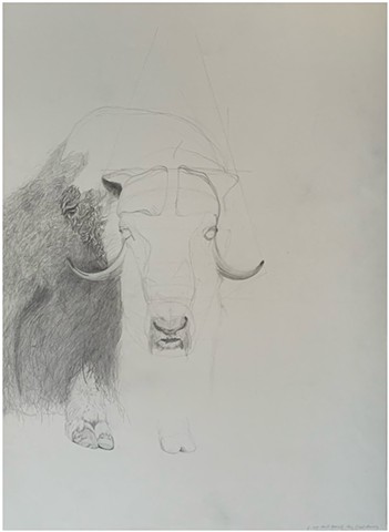 Paul P.J. Woods, 1996, graphite