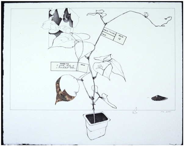 Paul (P.J.) Woods, 2001, Lithograph with pasted elements on cotton paper