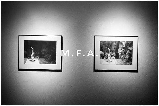 M.F.A. Exhibition