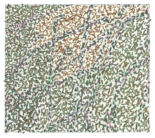 Patch of Dead Organic Matter