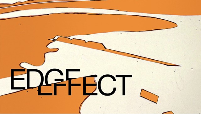 *Edge Effect at Twin Barns at the Staats House*