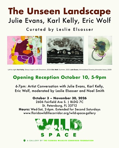 The Unseen Landscape at Wild Space Gallery
