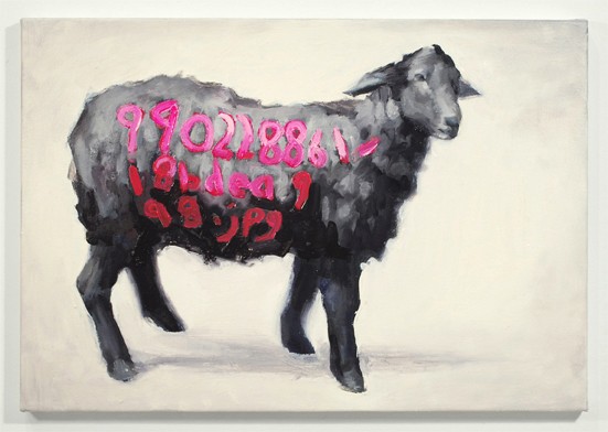 Coded Sheep  