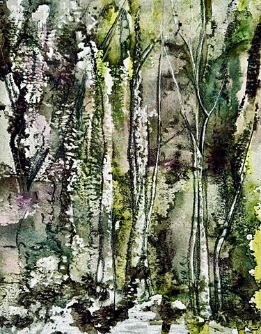 Istria Woods