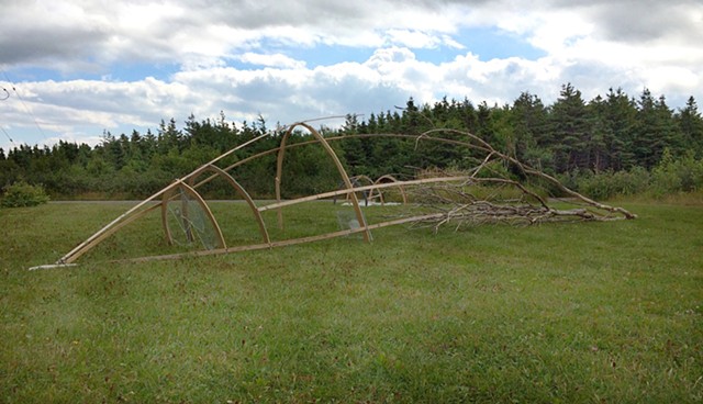 Windhull and Tree Catch