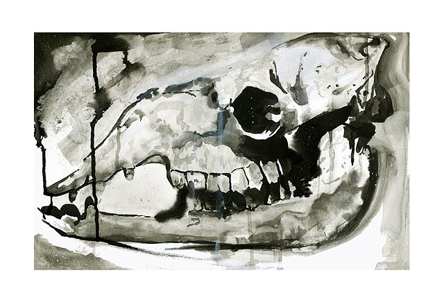 Ink painting of a horse skull by Katlynne Hummell Underhill
