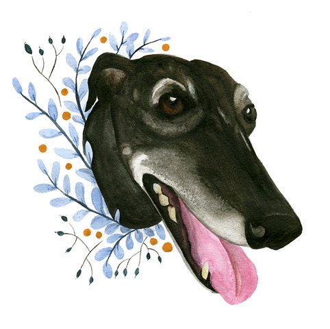 Commissioned pet portrait of a greyhound. Watercolor and gouache on paper, by Katlynne Hummell Underhill.