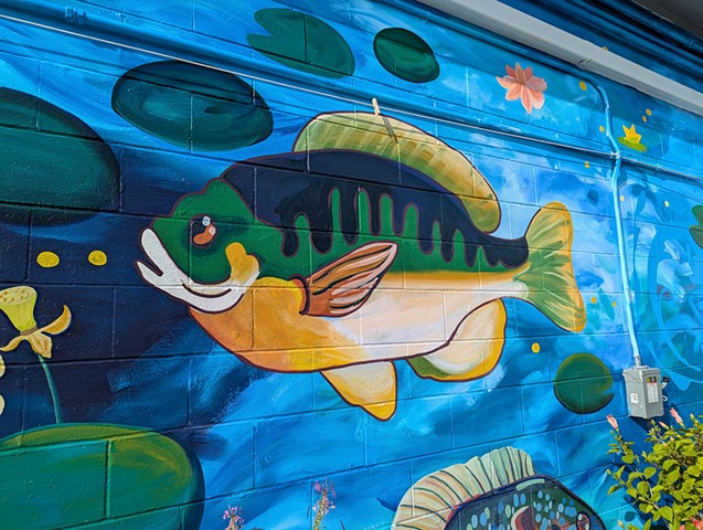 I came to life with cool waters