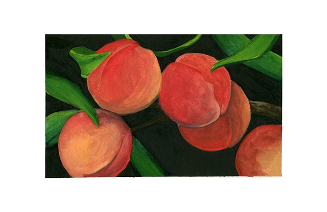 Painting of peaches. Watercolor and gouache on paper, by Katlynne Hummell Underhill.