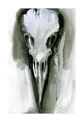 Ink painting of a corvid skull by Katlynne Hummell Underhill. Ink painting of a crow skull. Ink painting of a raven skull.
