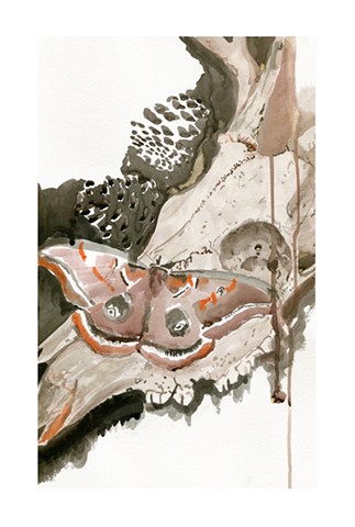 Ink painting of a deer skull and a butterfly by Katlynne Hummell Underhill