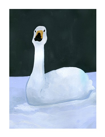 Portrait of a white goose sitting in the snow in dark. Watercolor and gouache on paper, by Katlynne Hummell Underhill.