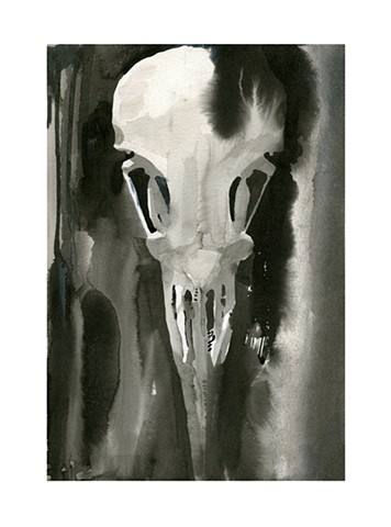 Ink painting of a corvid skull by Katlynne Hummell Underhill. Ink drawing of a crow skull. Ink drawing of a raven skull.