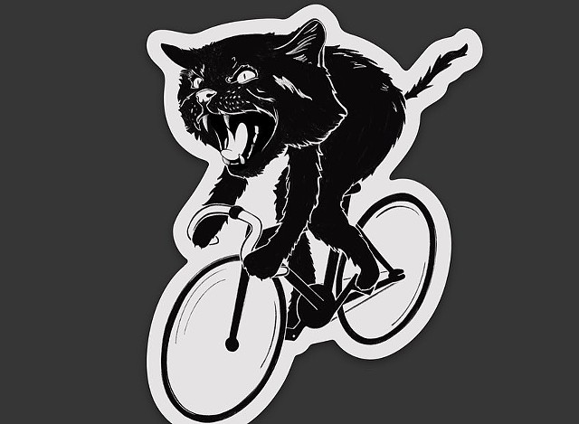 Hissing cat on a fixie