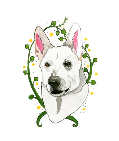 Commissioned pet portrait of a white German Shepard. Watercolor and gouache on paper, by Katlynne Hummell Underhill.