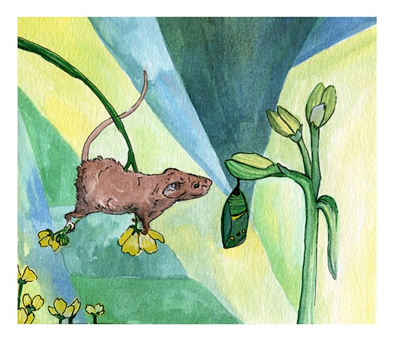 An illustration of a mouse reaching to see a monarch chrysalis. Watercolor on paper by Katlynne Hummell Underhill