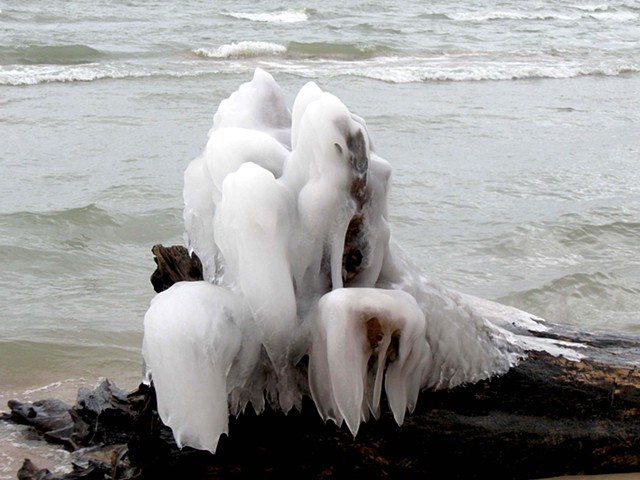 Ice Sculpture 4
