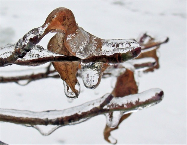 Ice Sculpture 3