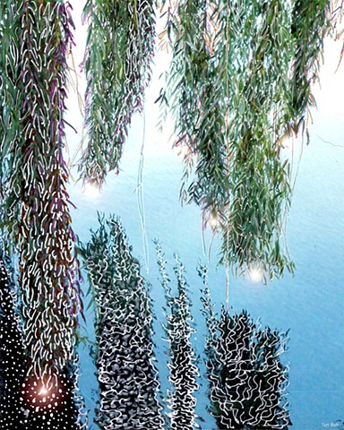 Weeping Willow Reflected In Lake