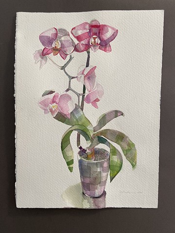 Orchid for Bethany 