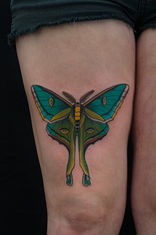 Moth by Stefan Johnsson, Morningstar Tattoo, Belmont, Bay Area, California