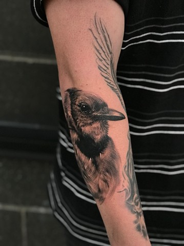 Bird Tattoo by Michael Ascarie, Morningstar Tattoo, Belmont, Bay Area, California