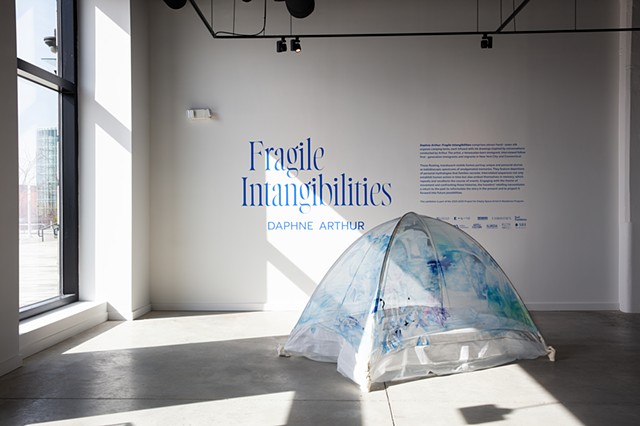 Fragile Intangibilities
