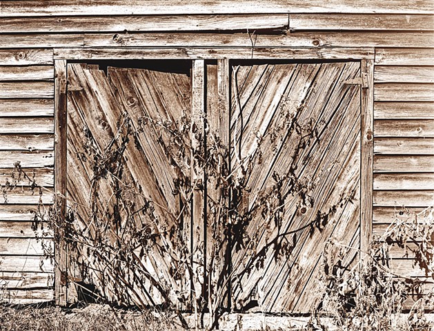 Nature's Espalier