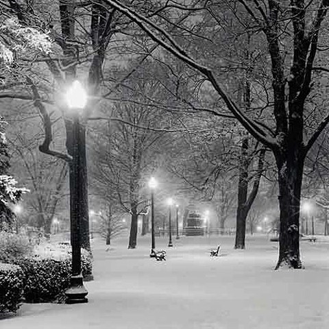 Winter's Eve; Centennial Park