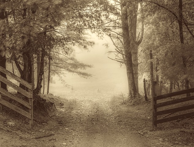 Into the Mystic