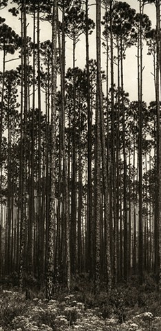 Dan Henderson | Photographer