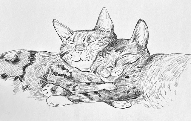 Pluto & Pickles