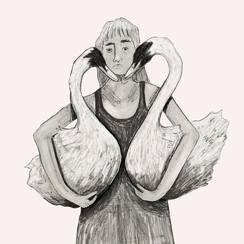 Weight Of A Swan