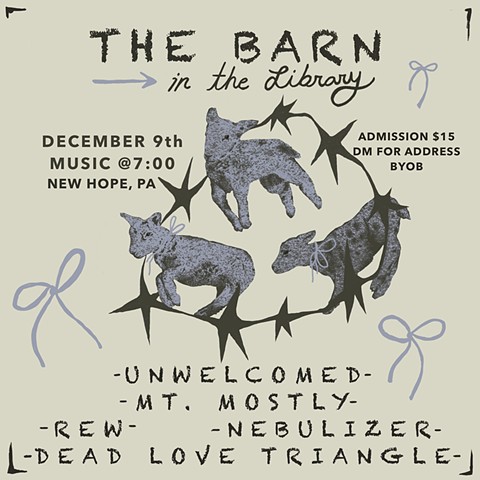 The Barn Flyer #2