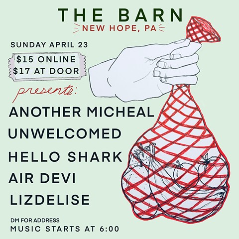 The Barn Flyer #5