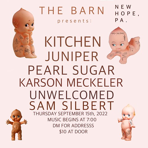 The Barn Flyer #3